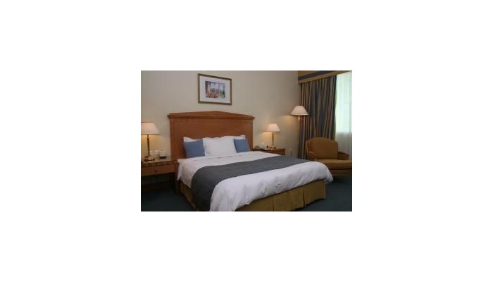 Al Maha Arjaan Hotel Rotana poza 10