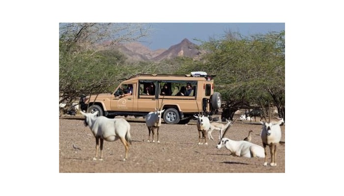 Hotel Anantara Sir Bani Yas Island Al Yamm Villa poza 18