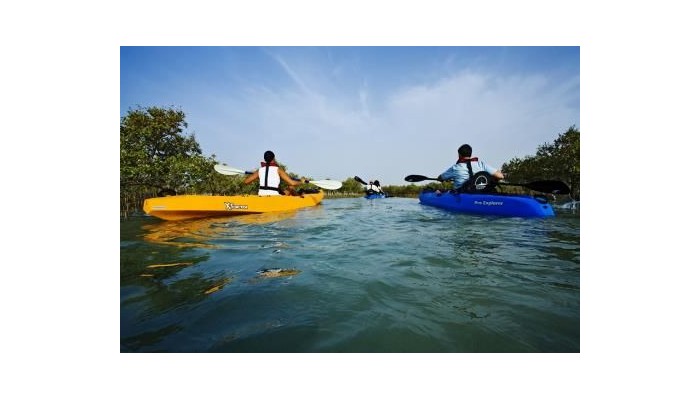 Hotel Anantara Sir Bani Yas Island Al Yamm Villa poza 15