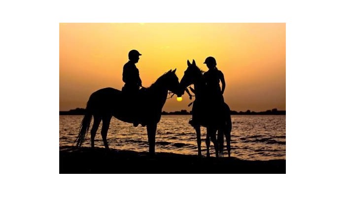 Hotel Anantara Sir Bani Yas Island Al Yamm Villa poza 17