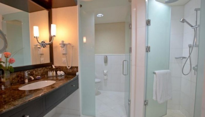 Hotel Intercontinental Abu Dhabi poza 10