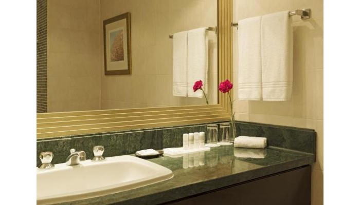 Hotel Le Meridien Abu Dhabi poza 14