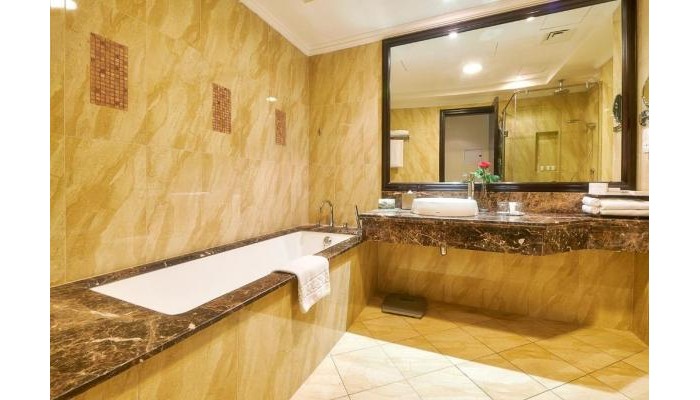 Hotel Bahi Ajman Palace poza 7