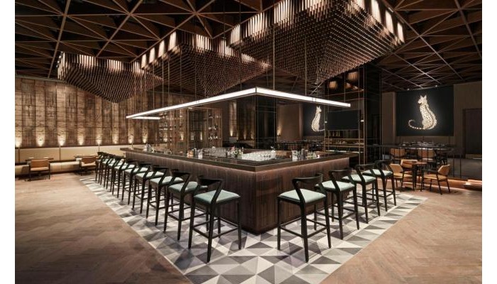 Hotel Sofitel Dubai The Obelisk poza 18