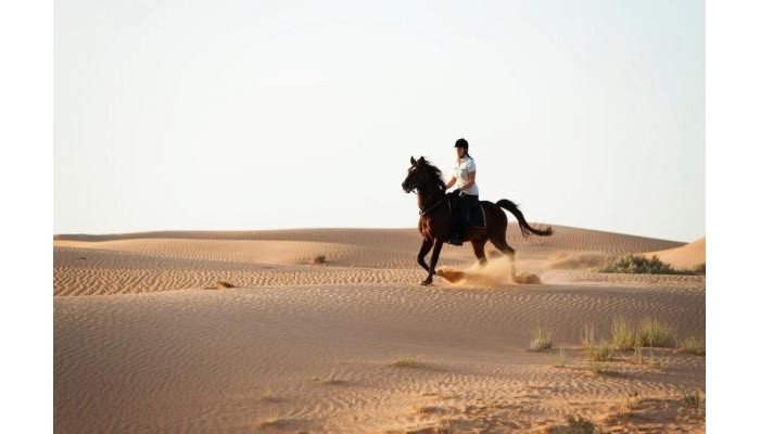 Al Maha A Luxury Collection Desert Resort And Spa poza 21