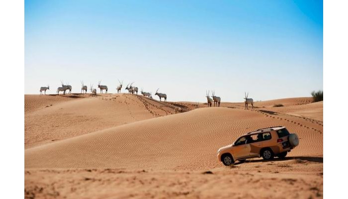 Al Maha A Luxury Collection Desert Resort And Spa poza 22