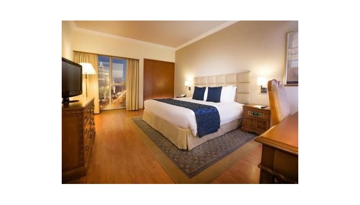 Crowne Plaza Hotel Dubai poza 6