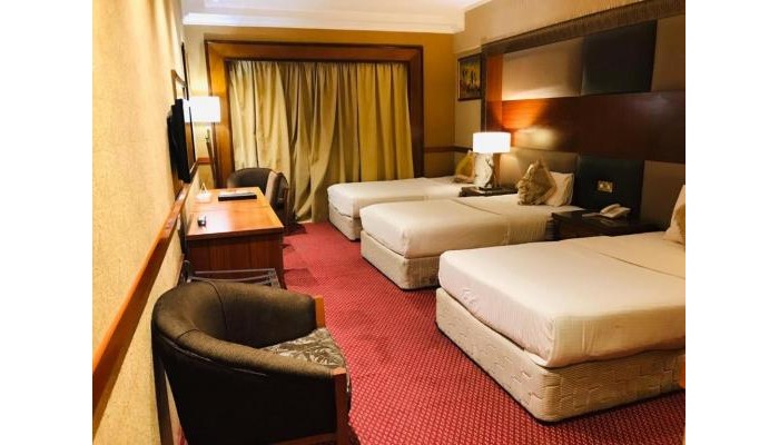 Hotel Delmon Palace poza 4