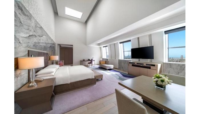 Hotel Hyatt Regency Dubai Creek Heights poza 1