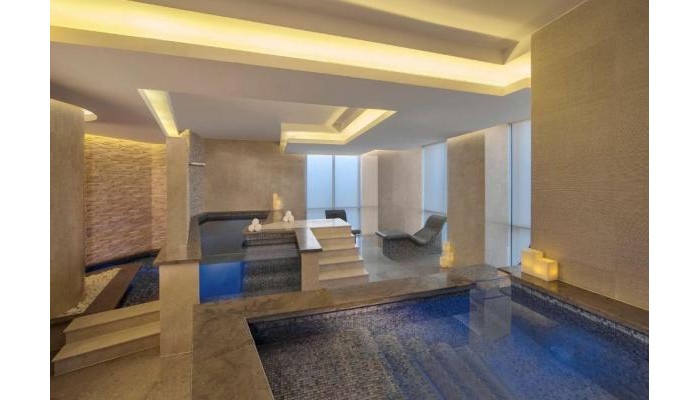 Hotel Hyatt Regency Dubai Creek Heights poza 20