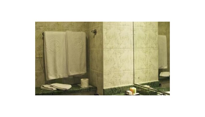 Regent Palace Hotel poza 23