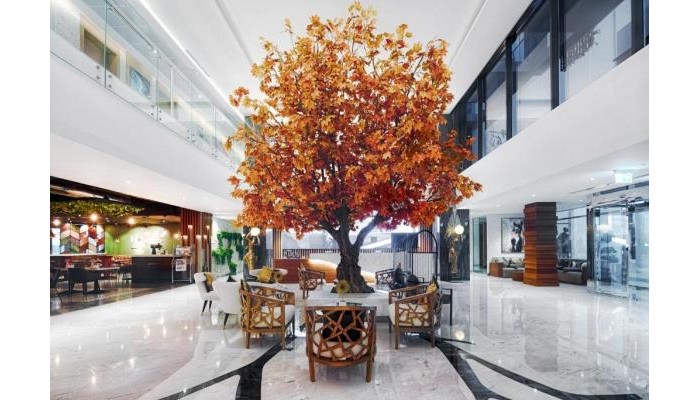 C Central Hotel & Resort The Palm poza 15