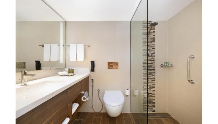 Hotel Hilton Garden Inn Ras Al Khaimah poza 6